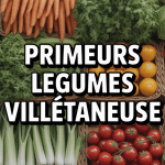 Primeur legumes villetaneuse etalage coloré marché