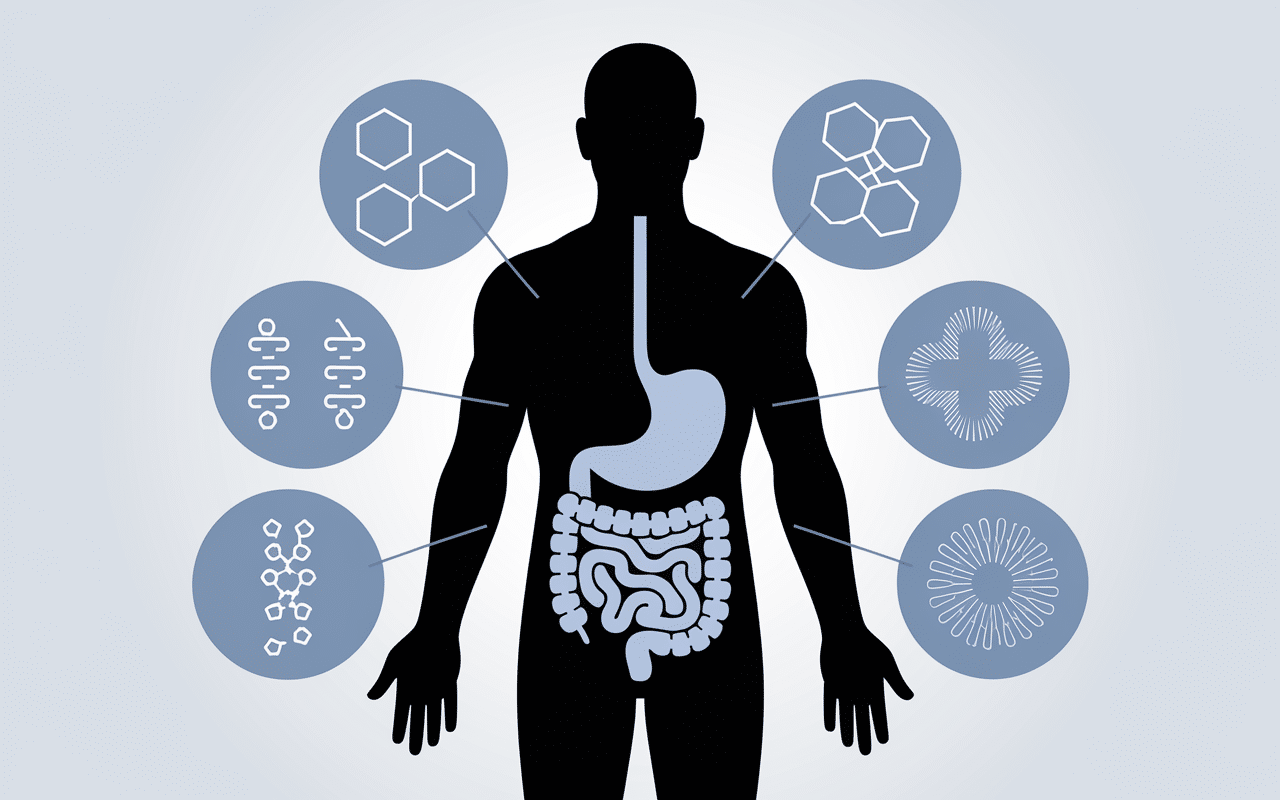 Infographie nutrition points yaourt bulgare equivalent santé